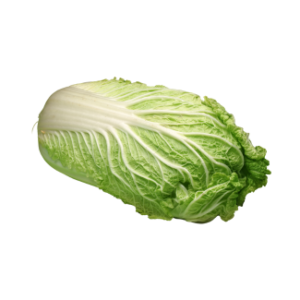 Chinese cabbage