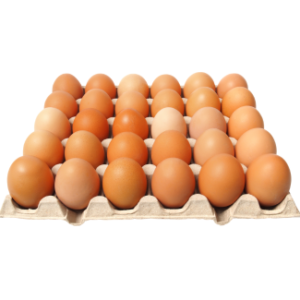 organic eggs