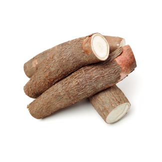 cassava