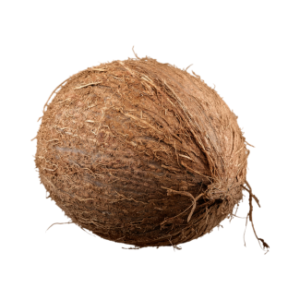 coconut 1