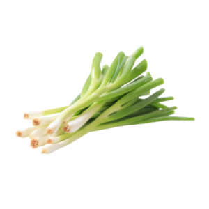 spring onion