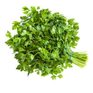 coriander